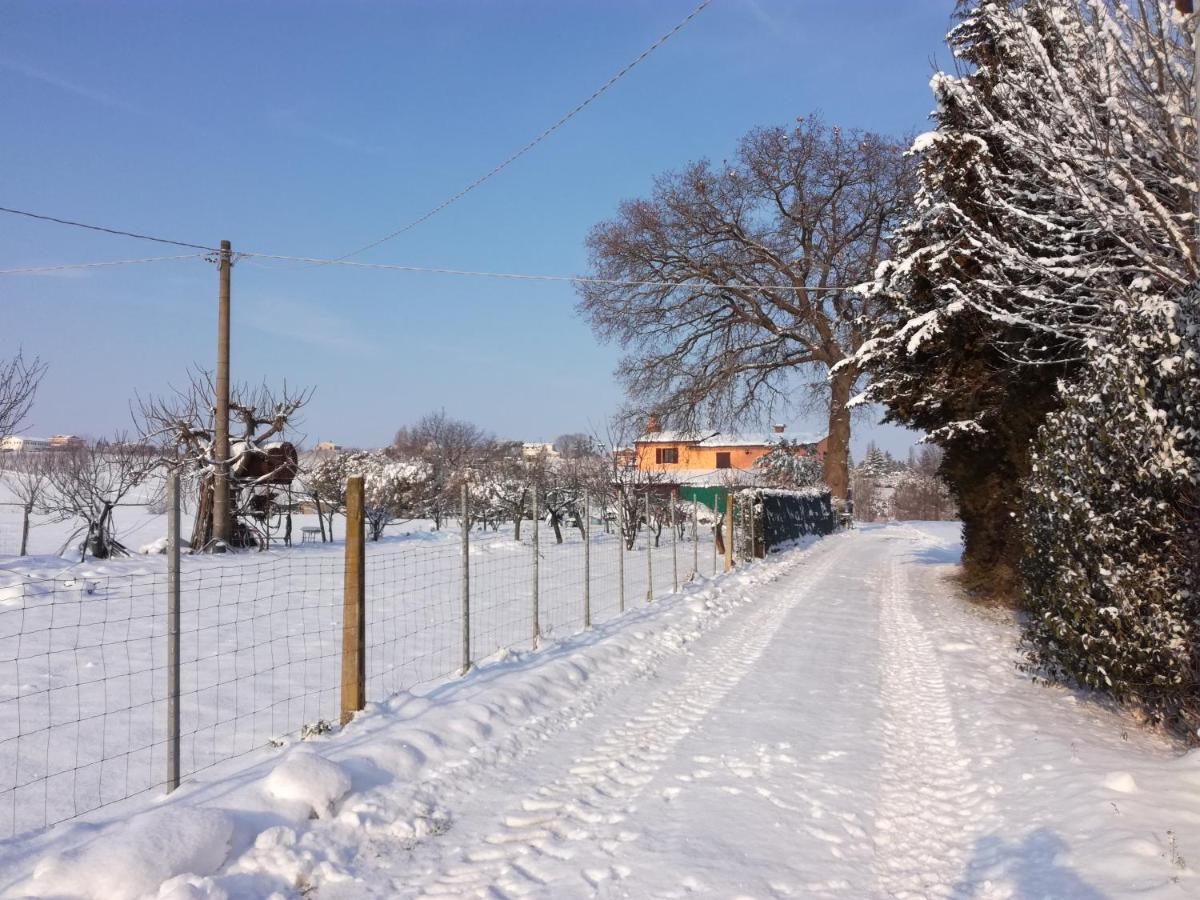 Country Rooms & Suite La Quercia Coriano Esterno foto