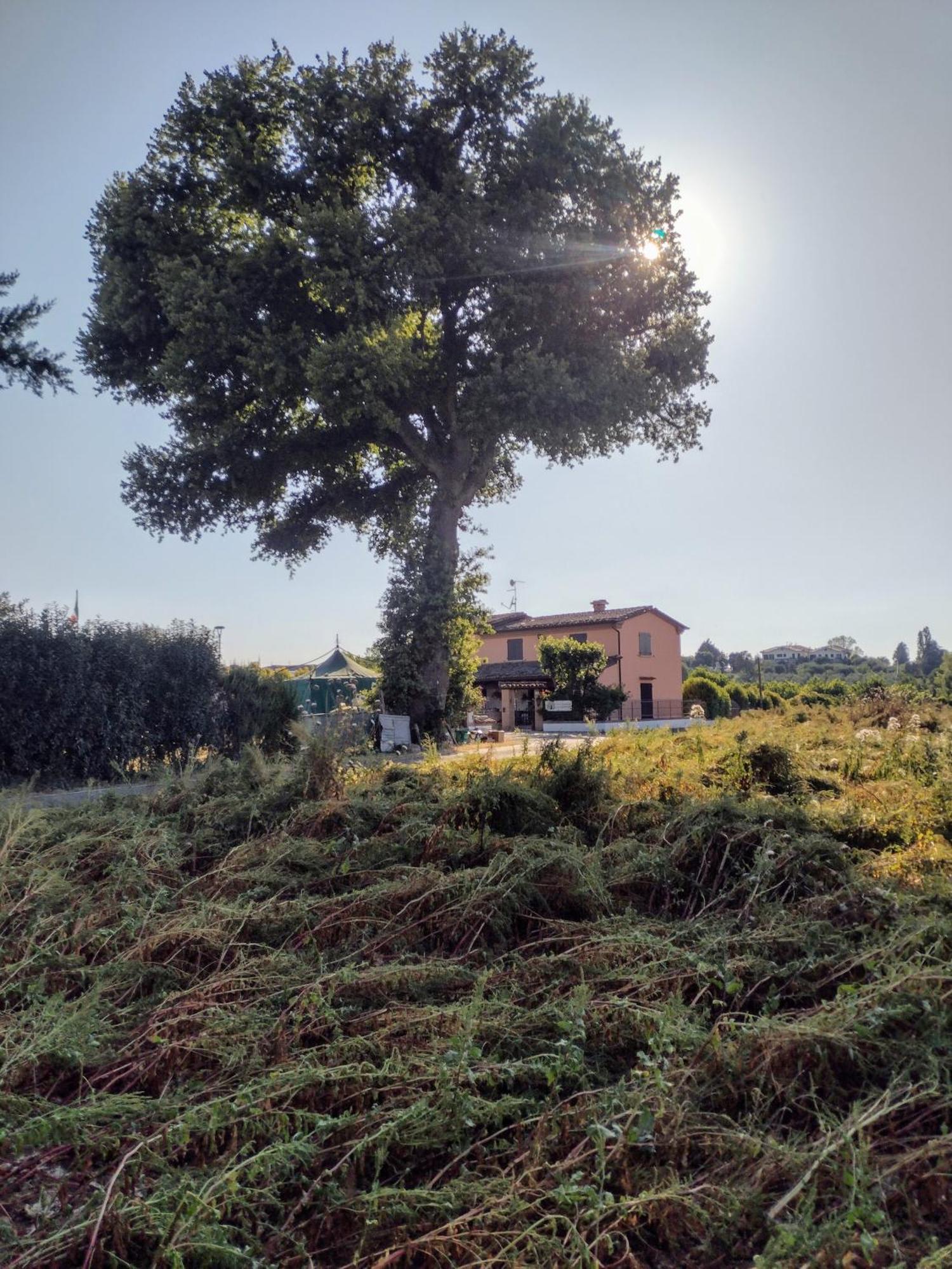 Country Rooms & Suite La Quercia Coriano Esterno foto