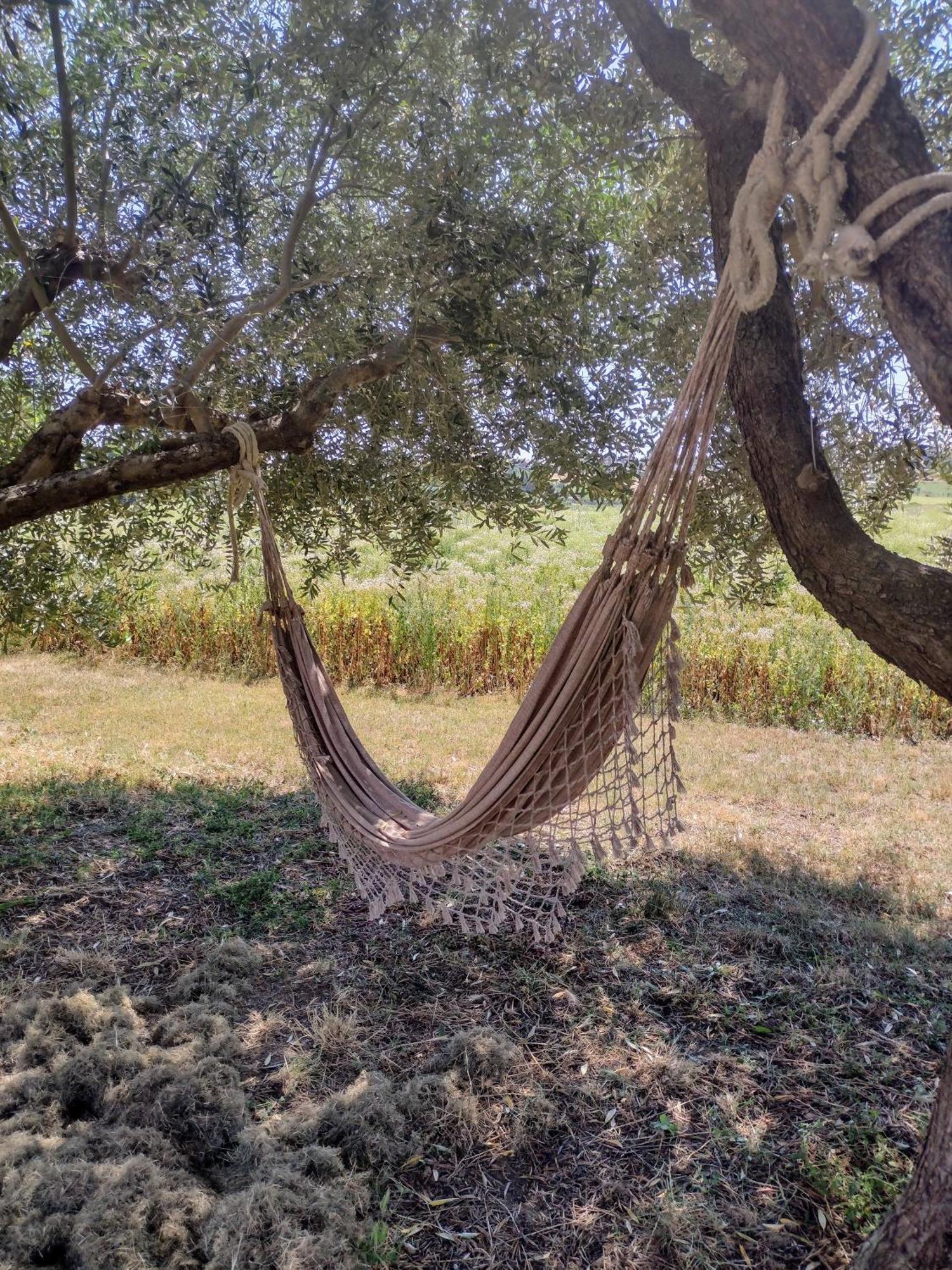 Country Rooms & Suite La Quercia Coriano Esterno foto